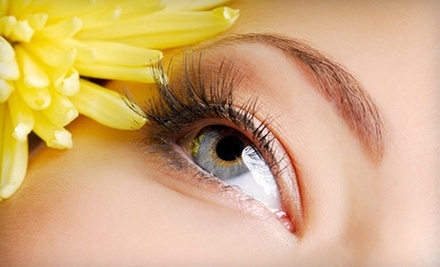 $14 for a Eyebrow Wax and Shaping at TNN Beauty $14 for a Eyebrow Wax and Shaping at TNN Beauty