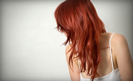 $24 for a Haircut at Stylist Rodney Wilkins