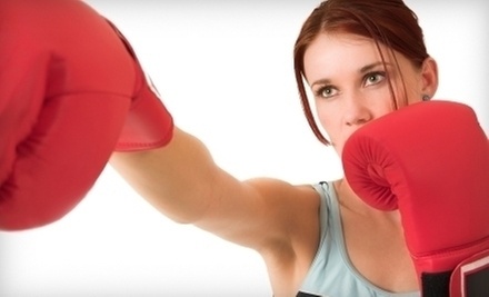 $10 for a One-Hour 5:30 p.m. MMA Fundamentals Class at Emerald Smoke MMA & Fitness
