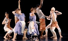 $12 for 6:30 p.m. Adult Beginners Ballet Class  at American Dance Institute - Rockland