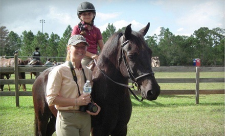 $25 for a One-Hour Horseback-Riding Lesson at North County Training Facility