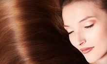 $69 for Full Color or Partial Highlights, Cut and Style at Hair By Alfredo