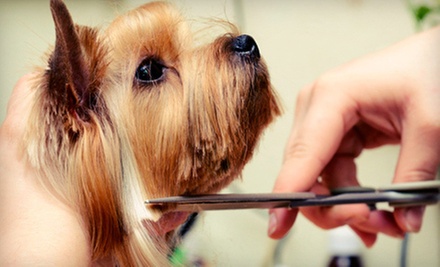 $26 for Dog or Puppy Bath with nail trim and ears cleaned,etc. at Pet Parade Animal Clinic $26 for Dog or Puppy Bath with nail trim and ears cleaned,etc. at Pet Parade Animal Clinic
