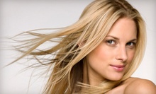 $70 for All Over Color, Precision Haircut & Blowout at Capelli Salon Dallas
