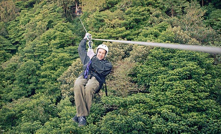 $65 for 9:30 a.m. 6-Zipline for One at Denver Adventures LLC $65 for 9:30 a.m. 6-Zipline for One at Denver Adventures LLC