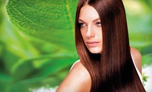 $25 for $50 at Vered Salon