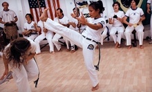 $4 for an Introductory Capoeira Class at 10:00 a.m. at Capoeira Mandinga Academy