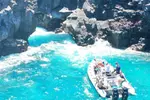 Dolphin, Whale & Snorkel Adventure with Hawaii Island And Ocean Tours