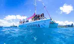 Waikiki's Turtle Snorkeling Boat Cruise in Honolulu, HI
