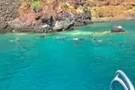 Dolphin, Whale & Snorkel Adventure with Hawaii Island And Ocean Tours