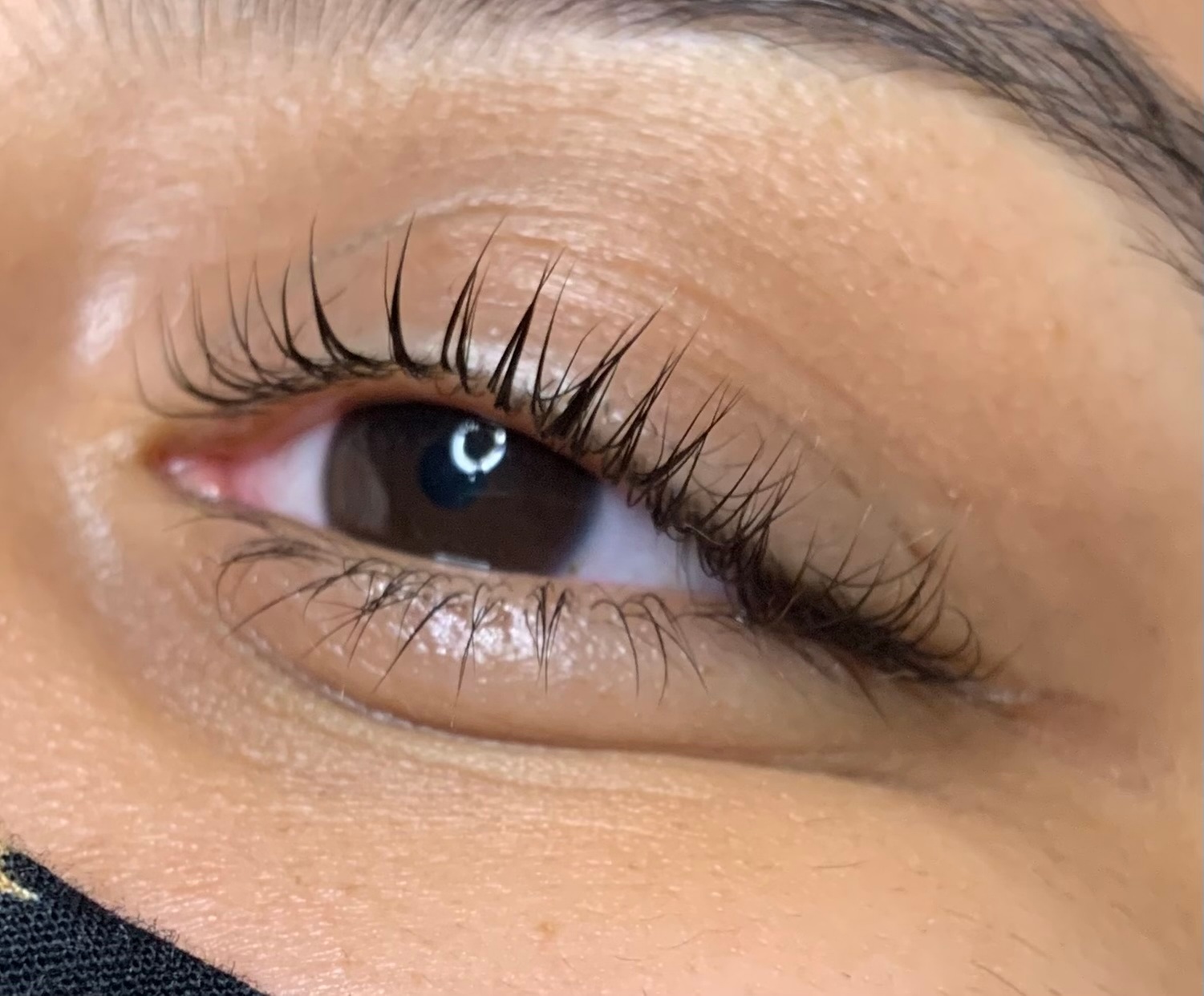Lash Lift and Brow Lamination Combo and Enzyme Peel Offer
