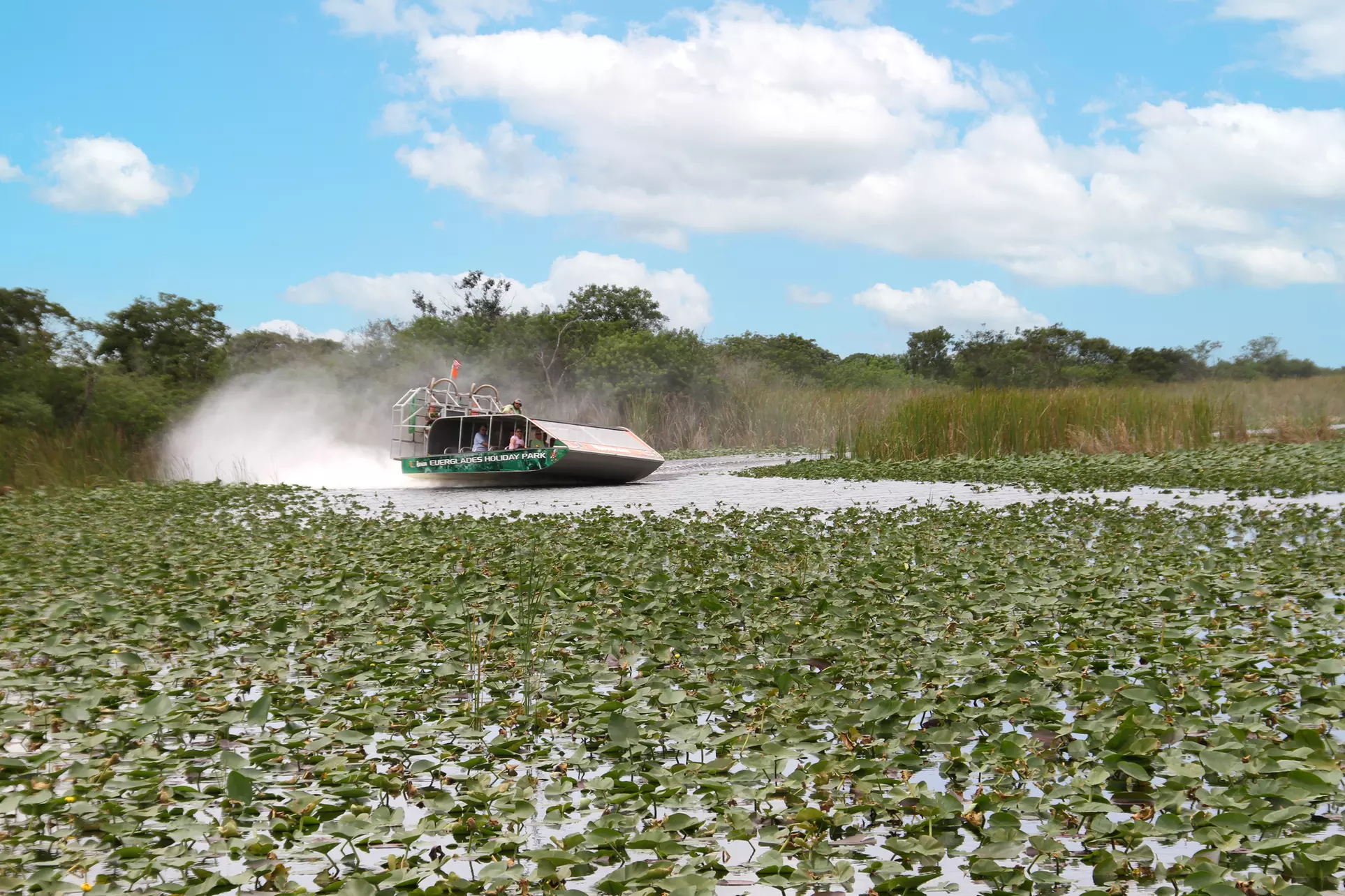 Experience Wide Angle Tours' Everglades adventure for one or two, with up to 20% off. A thrilling airboat tour awaits!