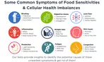 Food Sensitivity, Vitamins, Gut Health, Inflammation & Metabolism Test