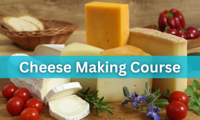 Up to 60% Off on Cheese Making Course at Compete High