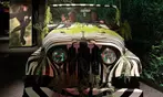 Hologram Zoo Experiences for Groups