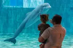 Clearwater Marine Aquarium Ticket Deals & Discounts - Up to 15% Off