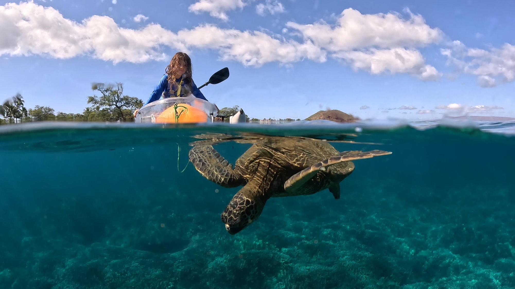 Clear Kayak & Snorkel Tour at Turtle Town, Maui