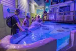 Clearwater Marine Aquarium Ticket Deals & Discounts - Up to 15% Off