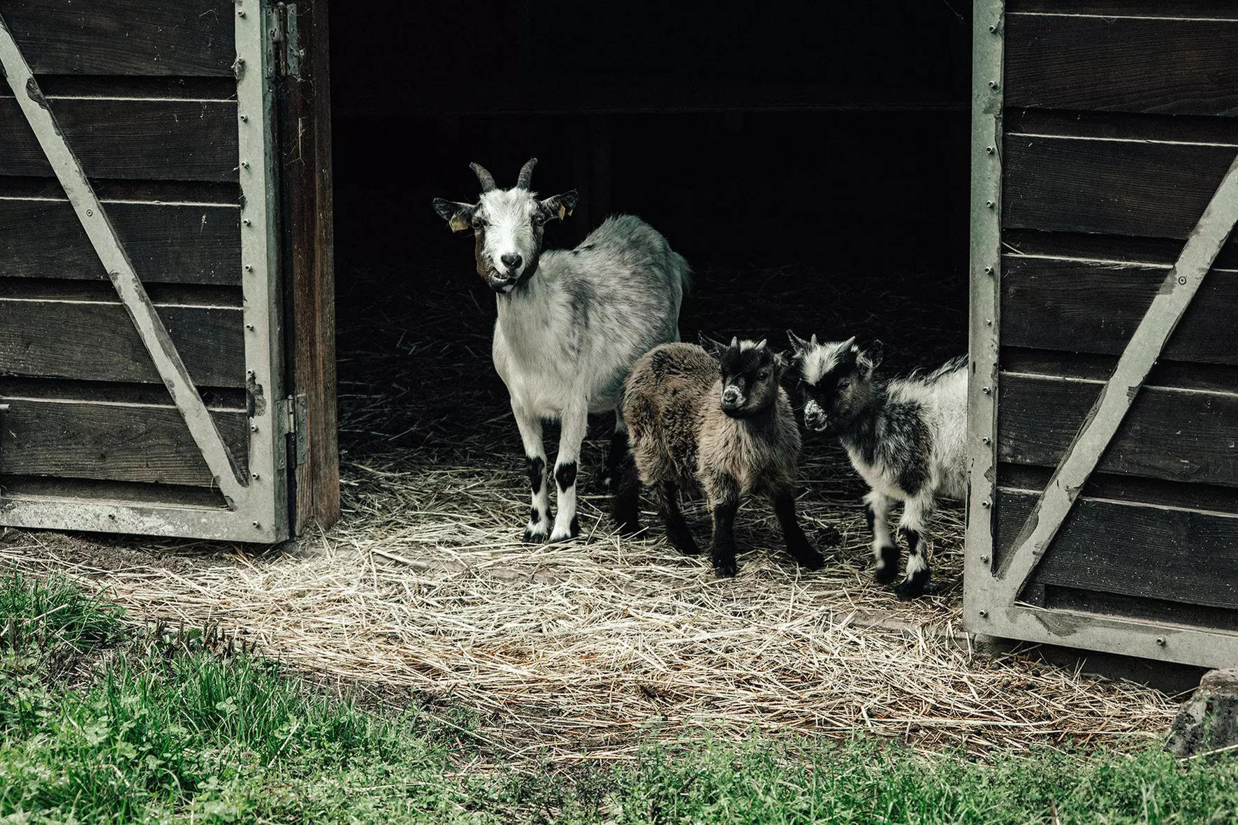 Fotoshooting mit 10 oder 20 Bildern – für bis zu 3 Personen