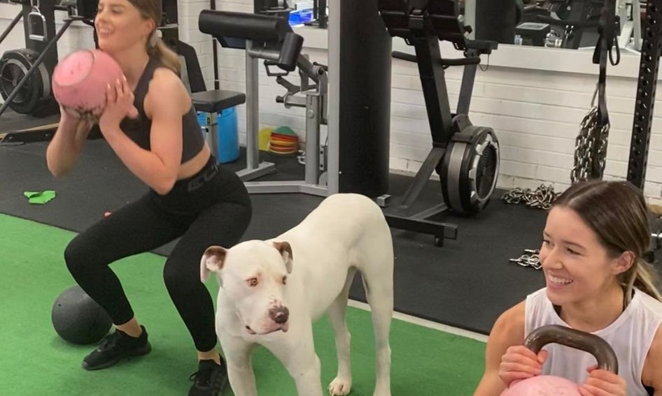 Up to 87% Off on Gym at Stronghouse