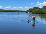Explore Tampa Bay with 2 Hour Kayak and Paddleboard Rentals