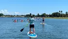 Enjoy a 60-minute kayak or paddleboard rental at Urban Kai - Salt Creek with up to 28% off for an unforgettable water adventure