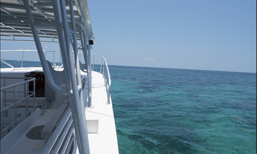 Boat Tour Glass Bottom Boats Of Islamorada Inc Groupon