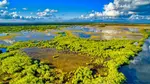 Everglades Airboat Ride & Alligator Show with Miami Transportation