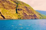 Dolphin, Whale & Snorkel Adventure with Hawaii Island And Ocean Tours