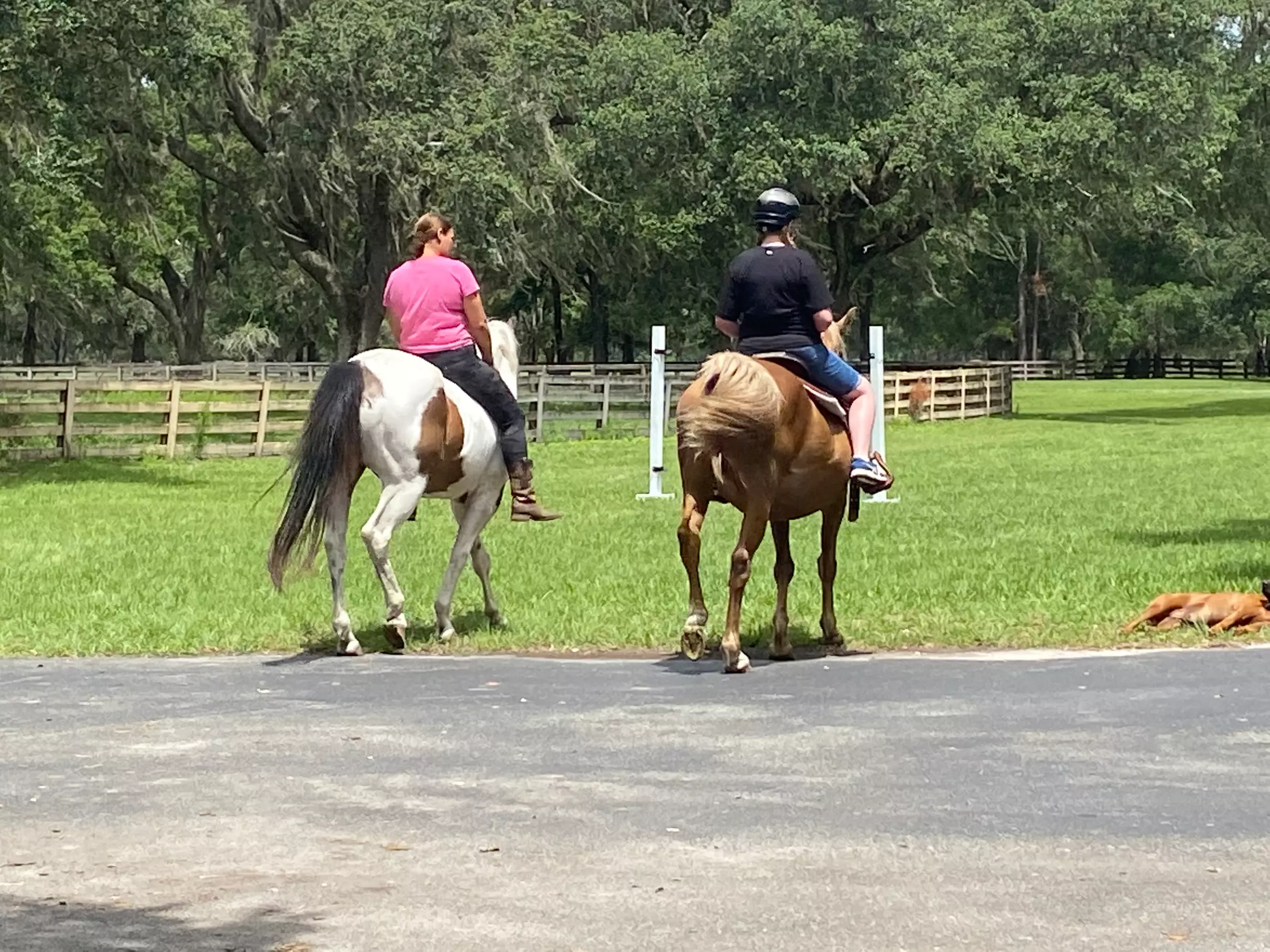 Up to 10% Off on Horse Back Riding - Adult Only at Bryant Manor Equestrian Center