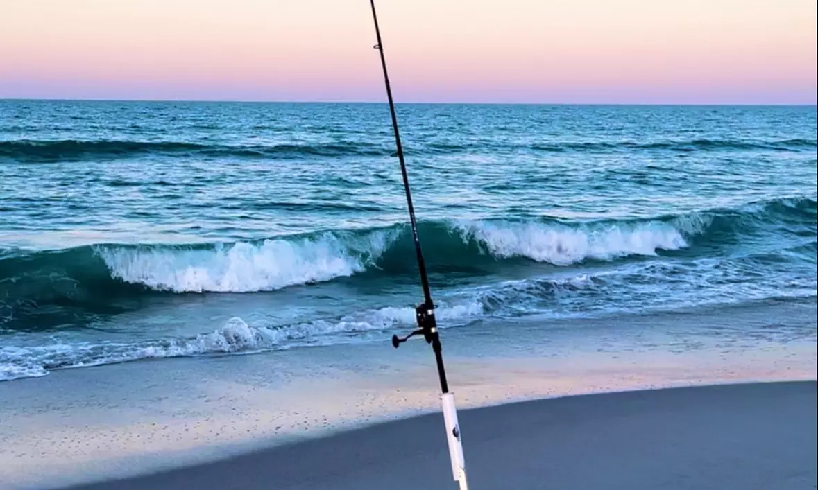 Up to 50% Off on Guided Tour at Space Coast Fish