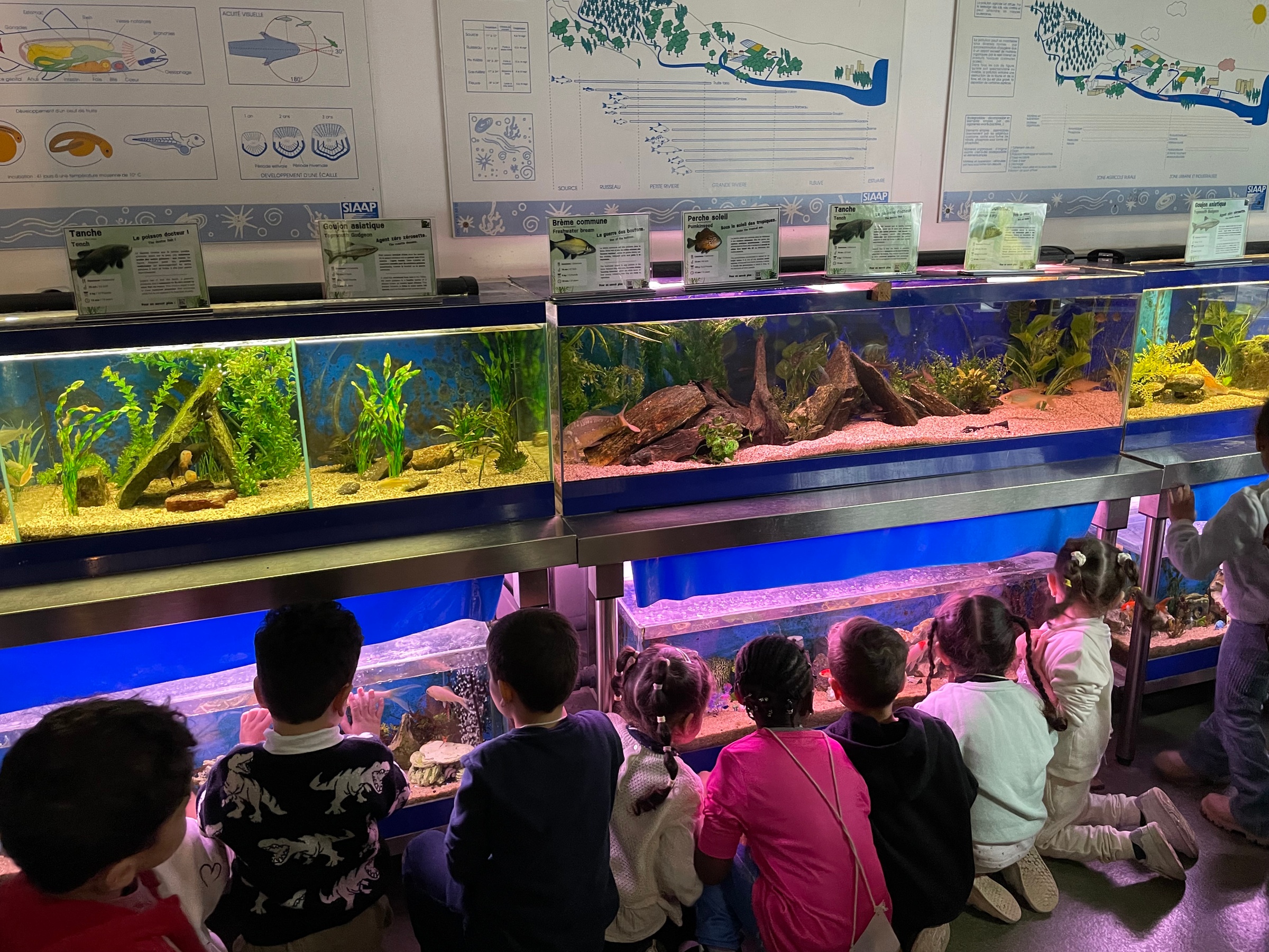 Entrée pour la Maison de la Pêche et de la Nature de Levallois