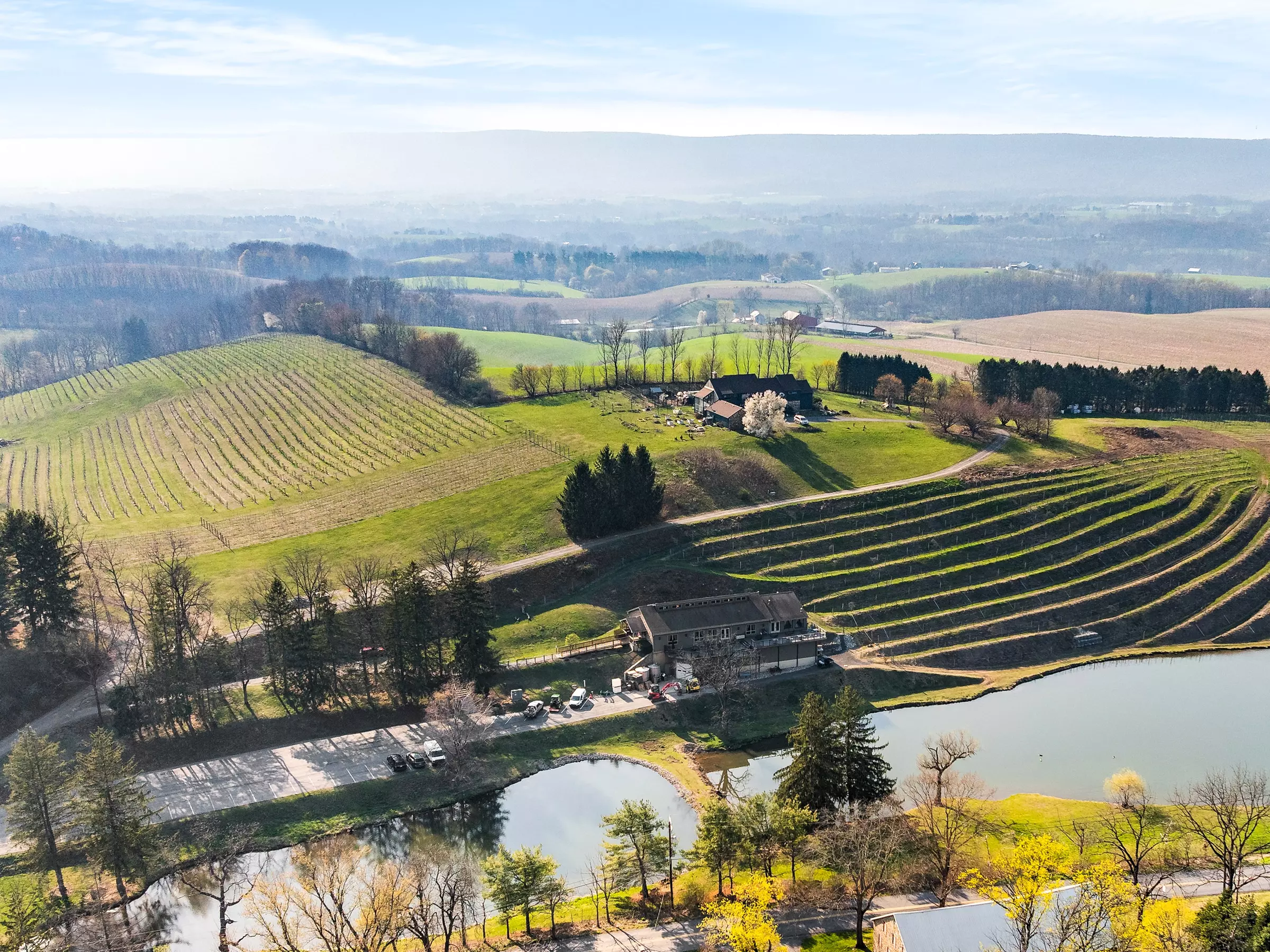 Sip Seasonally – Wine, Craft Beer & Slushies for up to 20% Off at Blue Mountain Vineyards & Cellars