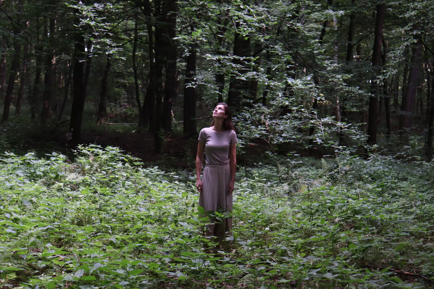 Relaksacyjny pakiet dla dwojga z kąpielą leśną i sauną