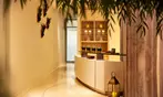 Ultimate Spa Experience! 50-Minute Massage, Facial or Couples Massage at Leaf Spa | Fairmont Chicago!