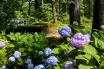 Admission to Atlanta Botanical Garden – Midtown Urban Oasis