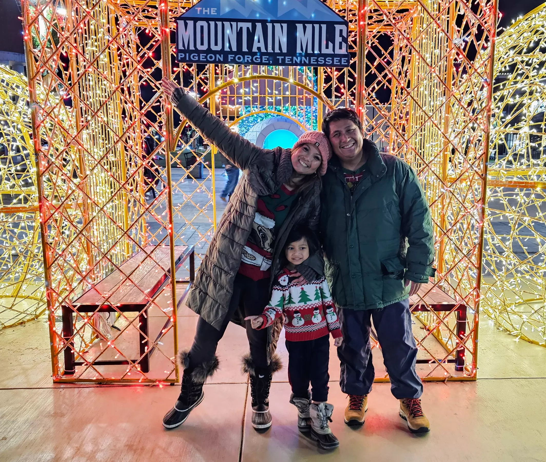 Magic of the Holidays with Smoky Bear Shuttle's Holiday Lights Tour!