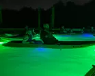 Sharkey's Glass Bottom Kayak Night Tour with Fish Feeding