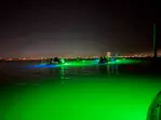 Sharkey's Glass Bottom Kayak Night Tour with Fish Feeding