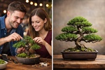 Enjoy a Date Night Bonsai for Beginners