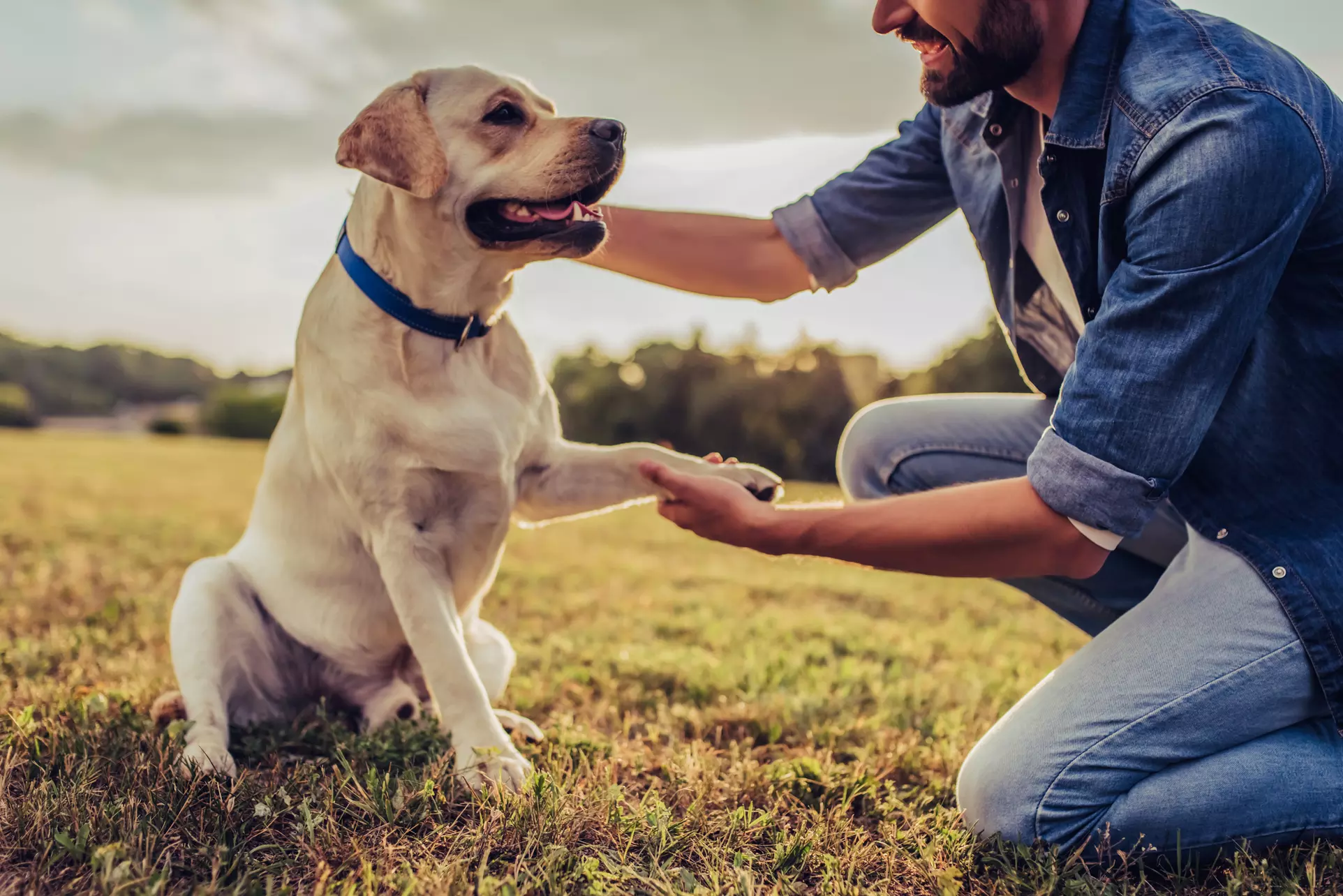 Bis zu 80% Rabatt auf Fotografie bei Rectoplay