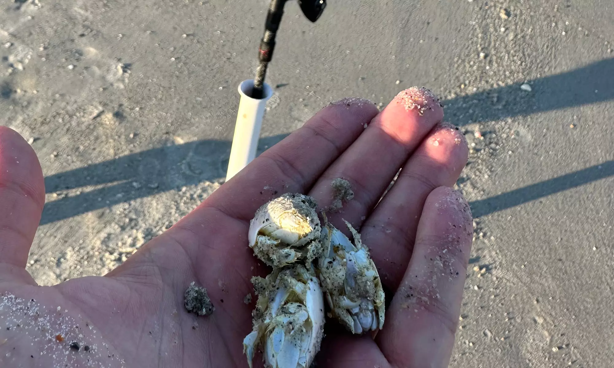 Up to 50% Off on Guided Tour at Space Coast Fish