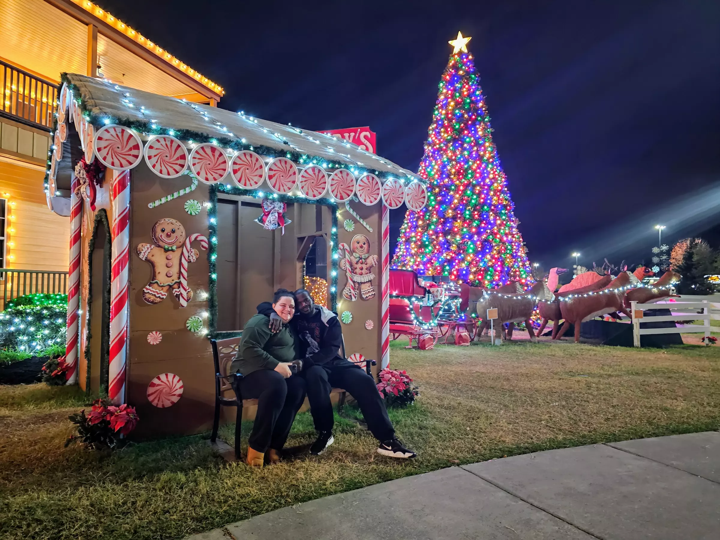 Magic of the Holidays with Smoky Bear Shuttle's Holiday Lights Tour!