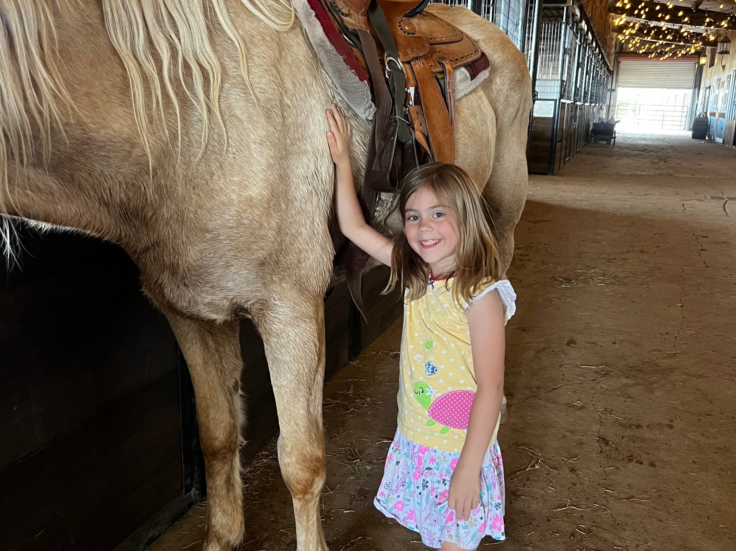 Up to 28% Off on Horse Back Riding at Rockin’ Star Ranch