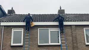 Dak APK: inspectie en rapportage voor rijtjes-, hoek-, vrijstaandhuis of 2-onder-1 kap rond Rotterdam (tot 62% korting)