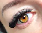 Experience Eyelash Extensions at The Lash Express Up to 55% off