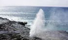 Oahu Full-Day Circle Island Tour - Small Group, No Crowds