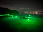 Sharkey's Glass Bottom Kayak Night Tour with Fish Feeding