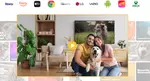Stream DOGTV for a Year or Enjoy a Free Month