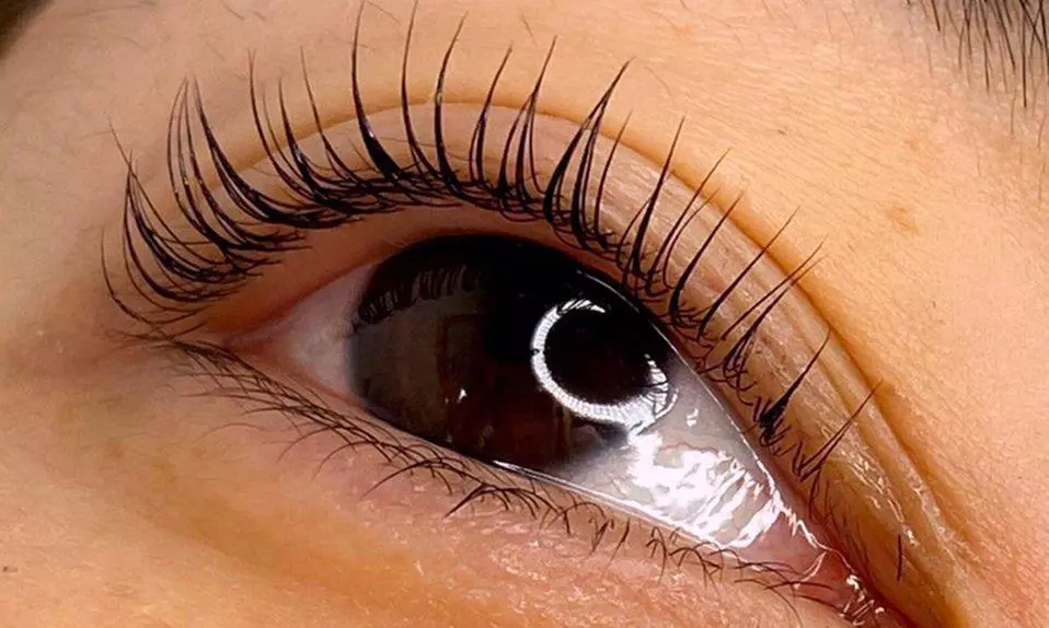 Up to 55% Off on Eyelash Extensions at Jaka lashes